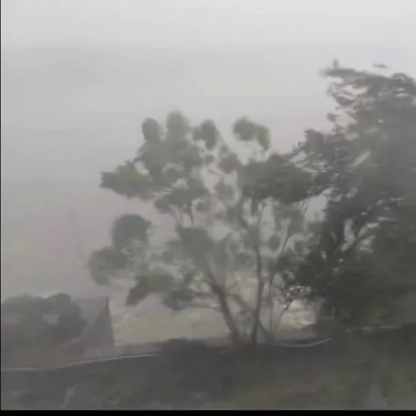 摩羯 考驗(yàn)輕松過！探秘歐西盾TPO單層屋面系統(tǒng)的抗風(fēng)之妙